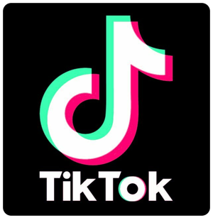 1748679284100tiktok.png